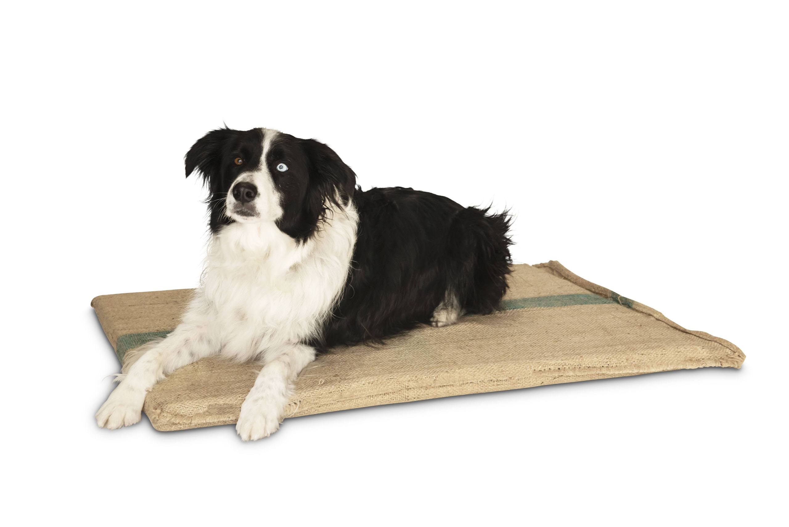 Hessian Dog Mat Superior Pet Goods