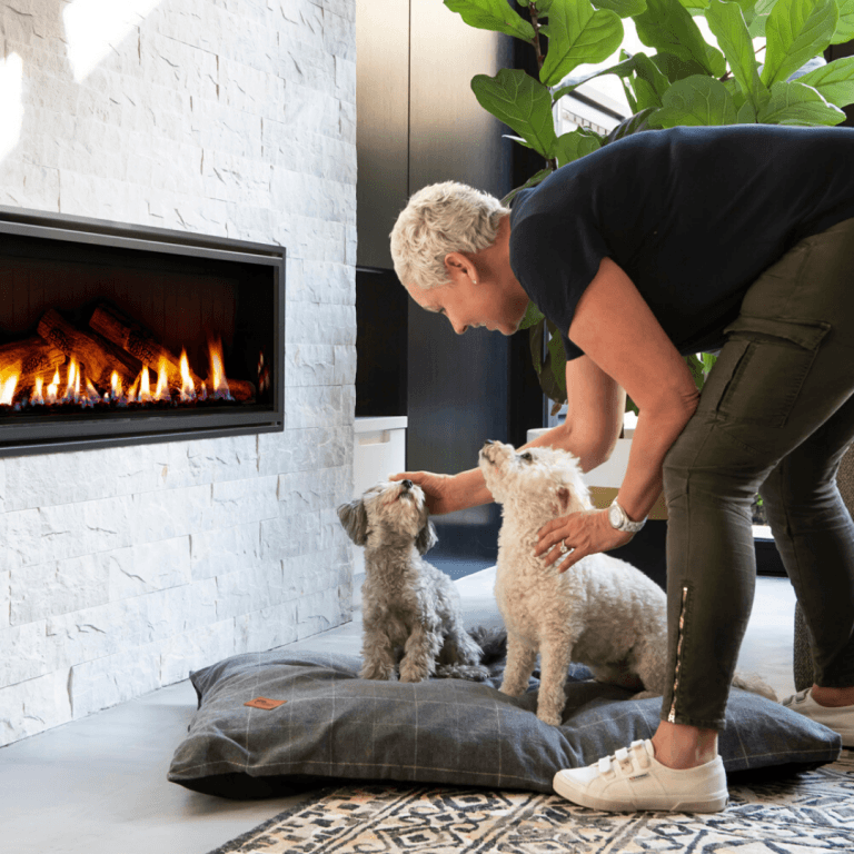 Home Superior Pet Goods