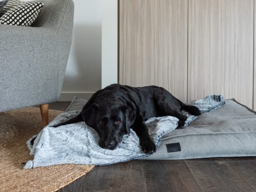 Calming Pet Blanket Water Resistant - Small, Artic Faux Fur