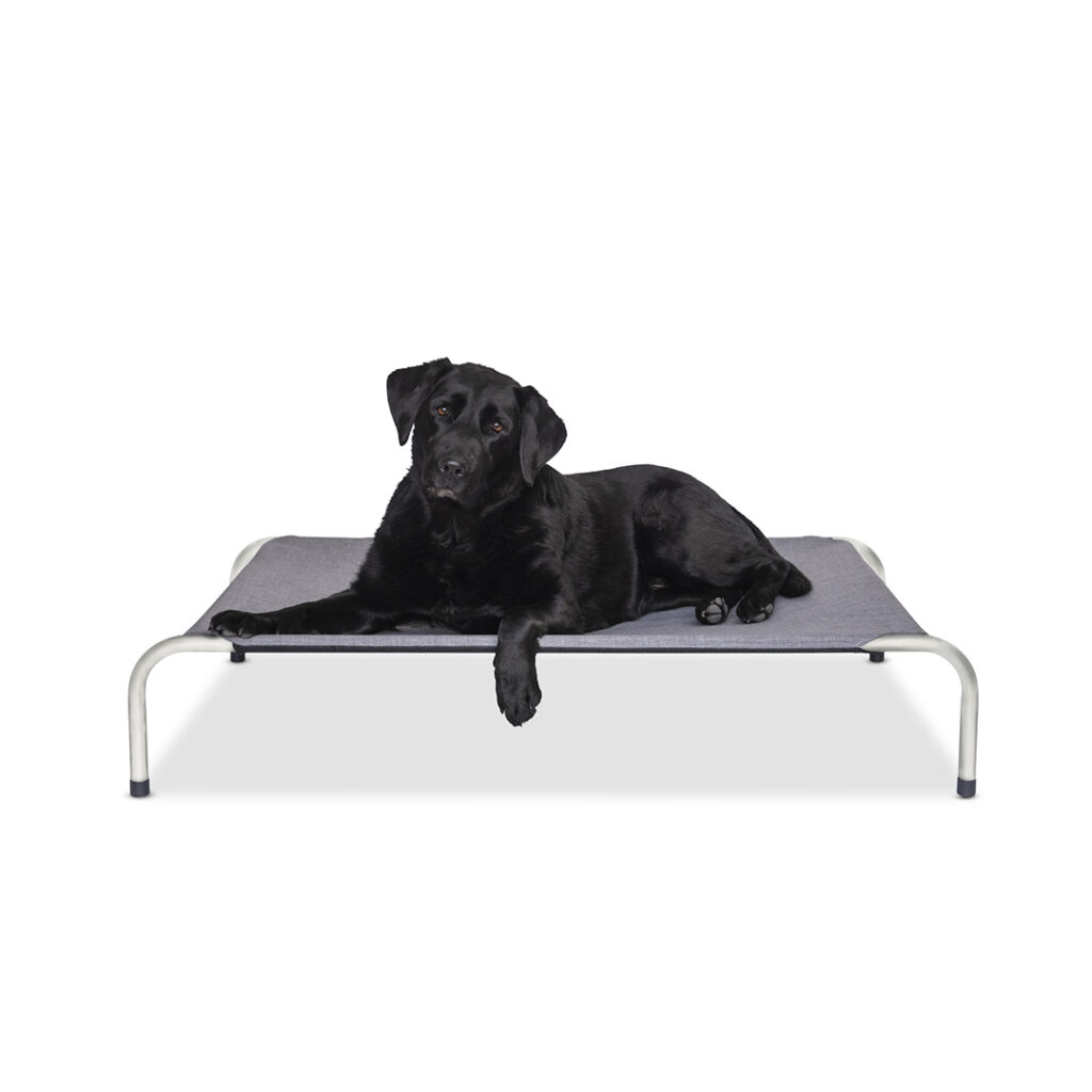 Canvas/Twill Mid Grey Raised Dog Bed Superior Pet Goods