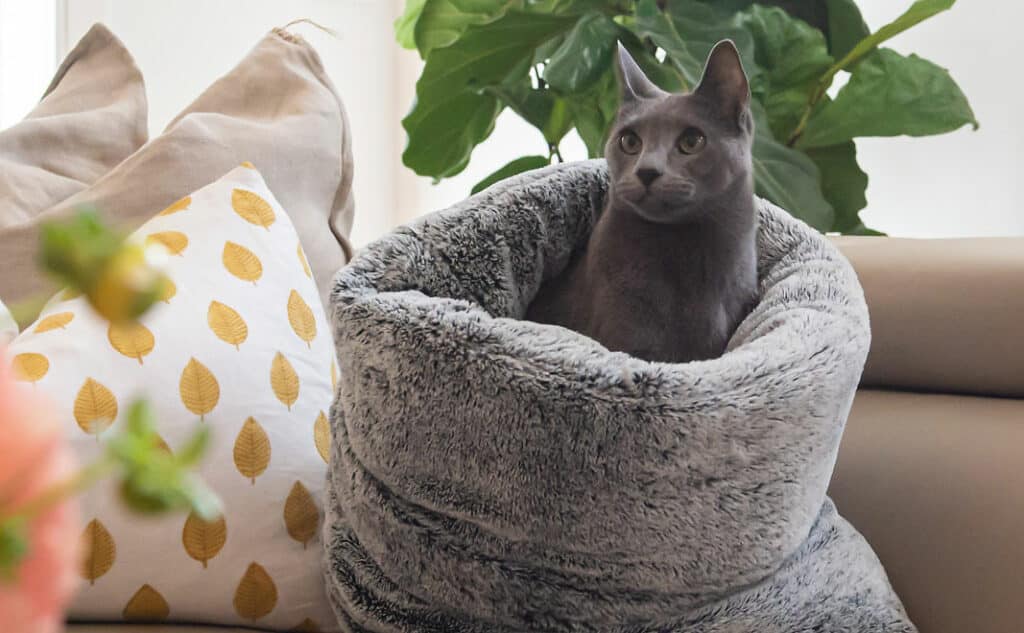 Cosy Pet Burrow - Tunnel Like Bed