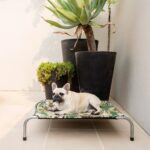 French Bulldog Laying on a Superior Pet Goods Camo Raised Bed