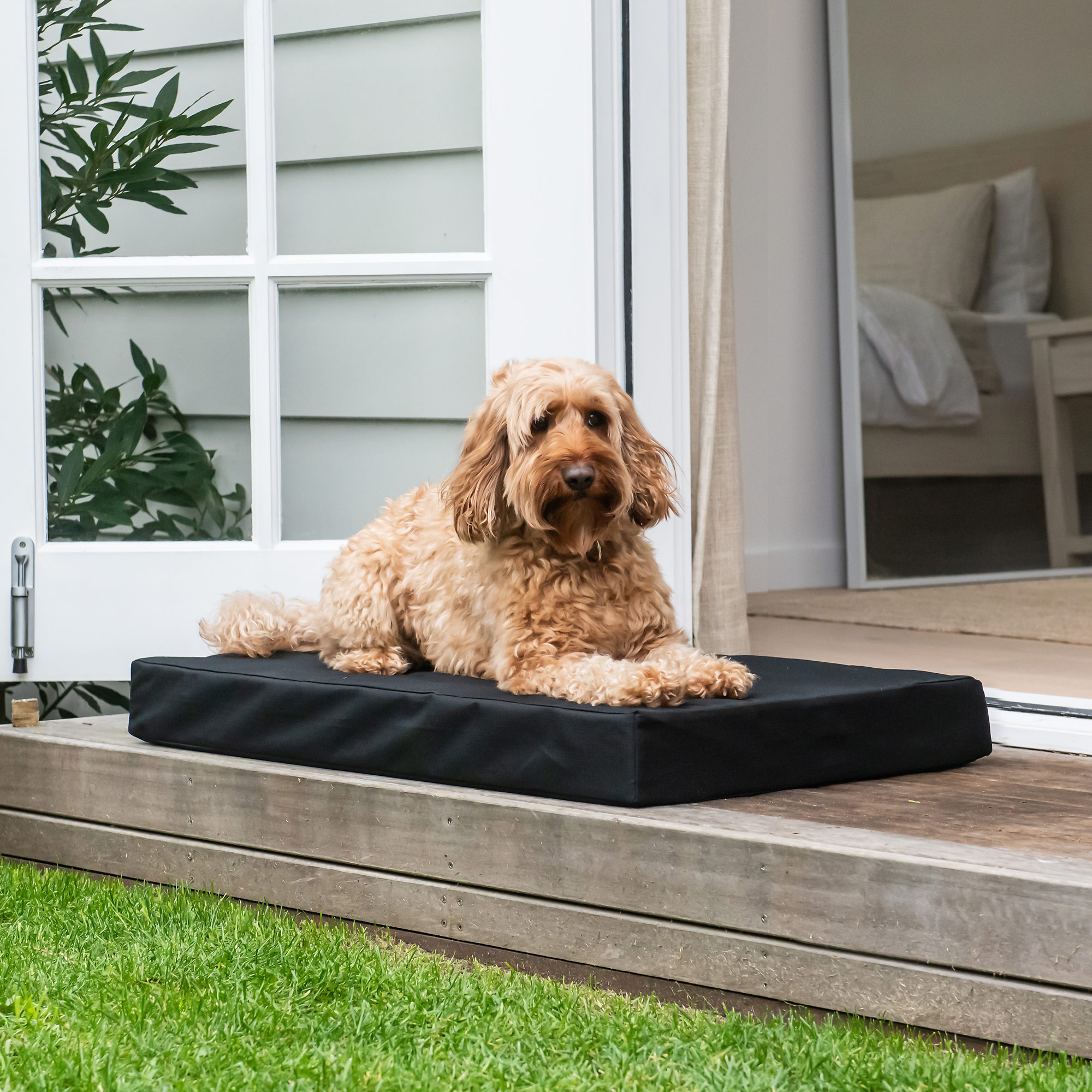 Vibrant Life Durable Crate Mat Top Vibrant Life Pet Durable Water