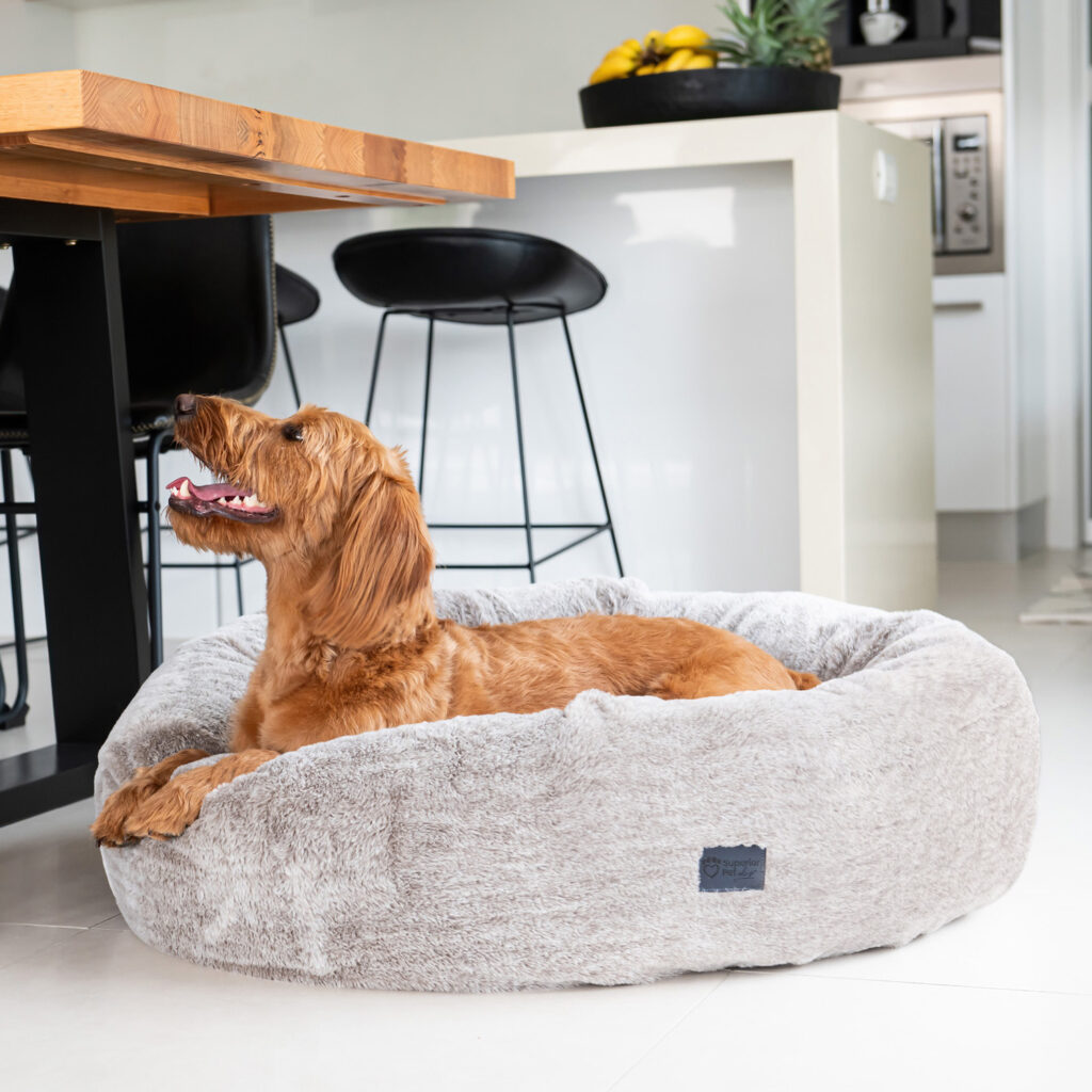 Round dog bed with raised walls and faux fur calming material in latte colour