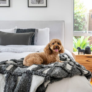 Calming pet blanket water resistant plush faux fur in scandi colour