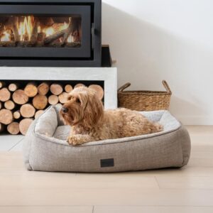 Spoodle dog laying in a Superior Pet Goods orthopaedic walled bed