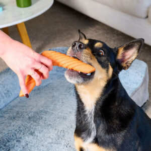 Dog boomerang toy made with TPR rubber