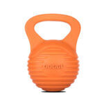 Doggi Catch and Carry Dumbbell