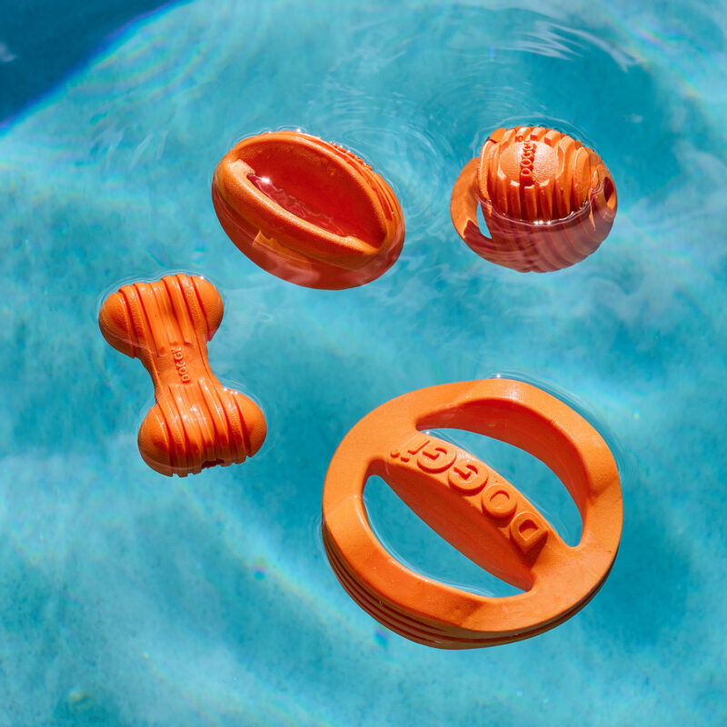 Doggi floating dog toys in a pool