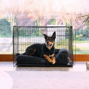 A tan and black coloured dog sitting on a black ripstop bed in a crate