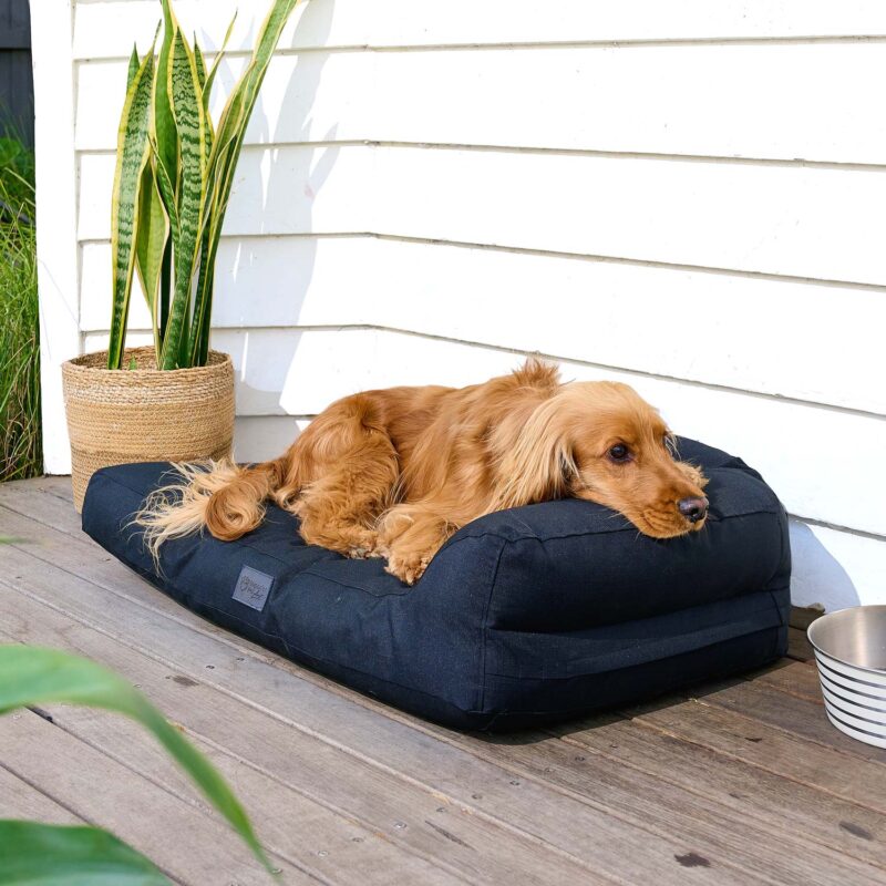 Cocker Spaniel laying on a Snugside Crate bed with his head resting on the bolster