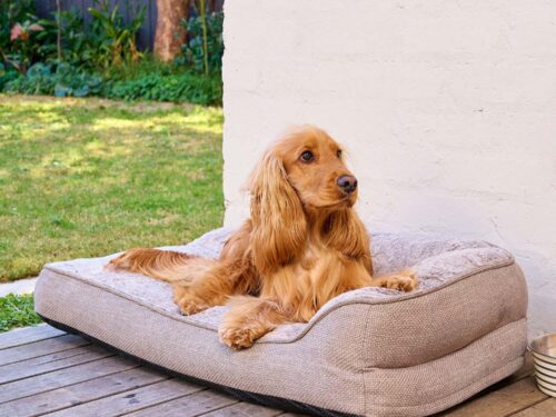 A cocker spaniel laying on a SnugSide crate bed on a deck