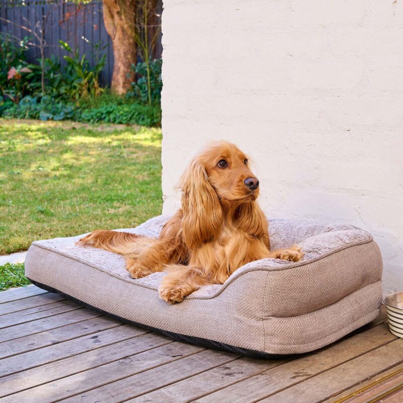 A cocker spaniel laying on a SnugSide crate bed on a deck