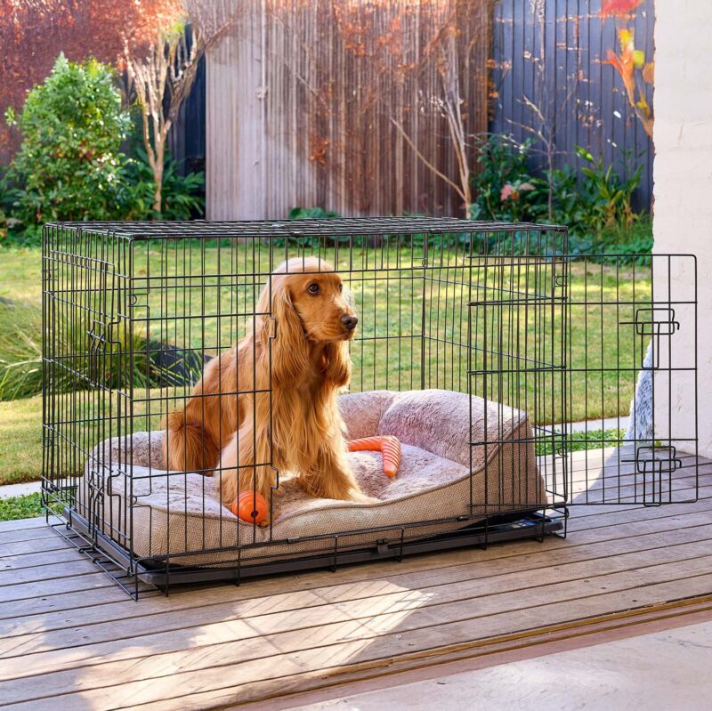 Cocker Spaniel sitting on a SnugSide Crate Bed inside a crate
