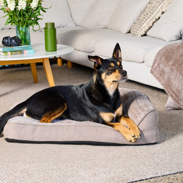 black and tan dog laying on a snugside crate bed in a lounge setting