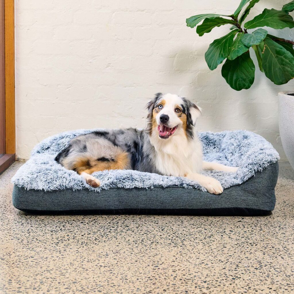 Australian Shepherd laying on the Snugside crate bed in long pile dove grey faux fur