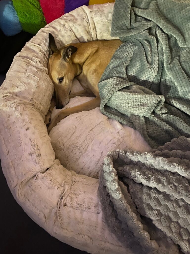 Image #1 from Lee M.