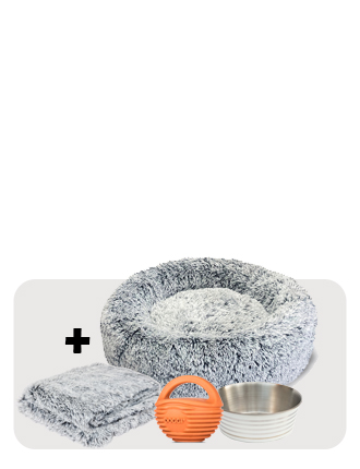 Superior Pet Goods Puppy Bundle with Bed, Blanket, Toy and Bowl