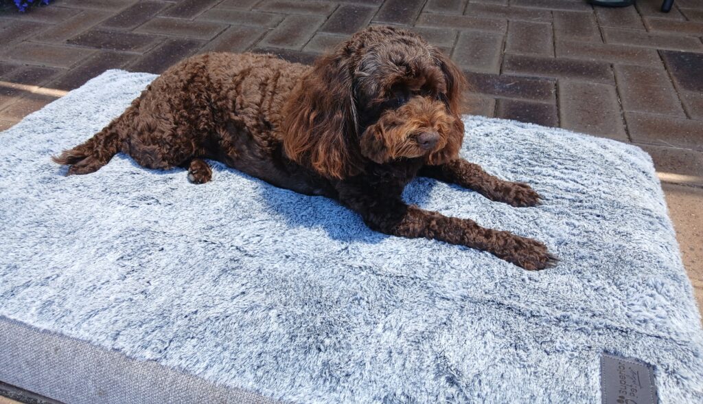 Image #1 from Janene