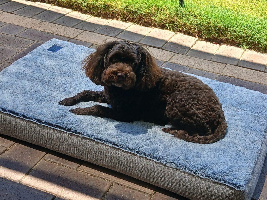 Image #2 from Janene