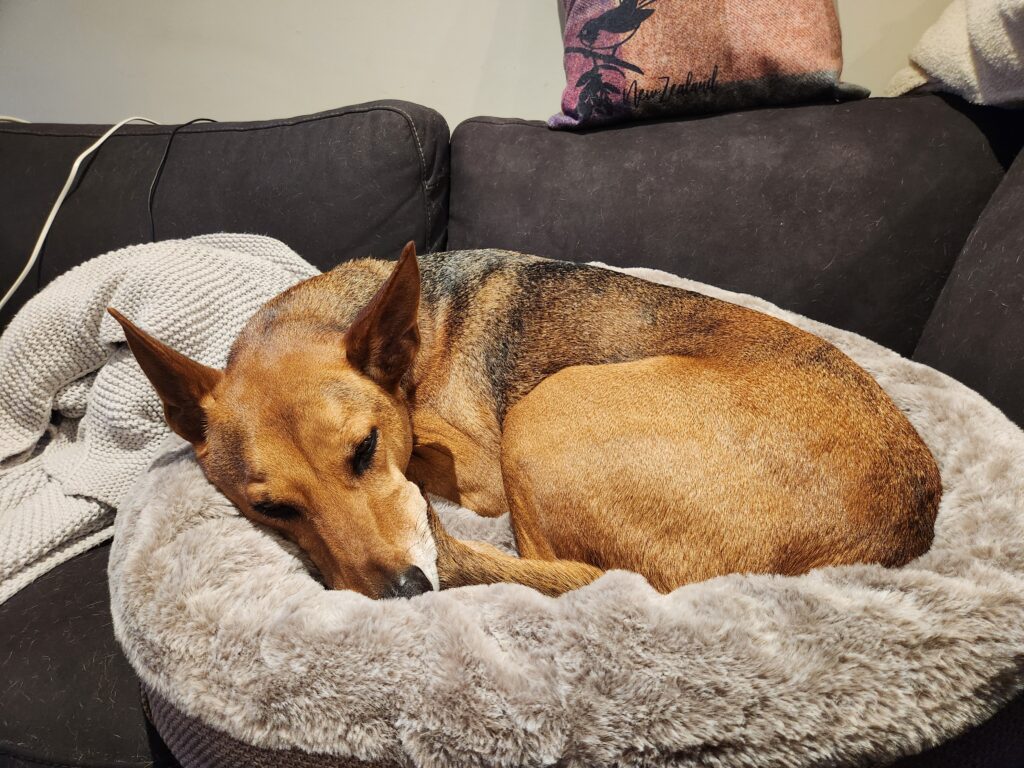 Image #1 from Caitlin McDermid