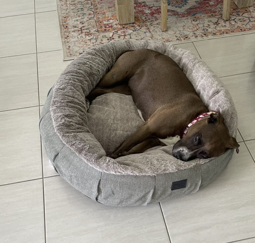 Image #1 from Nicole