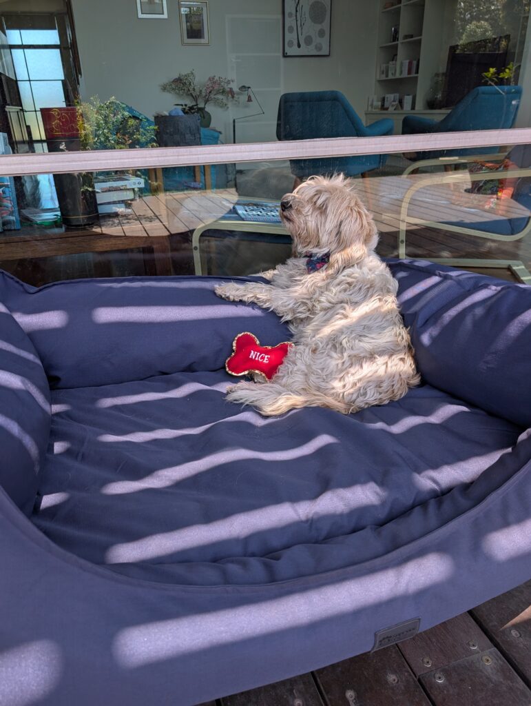 Image #1 from Louise