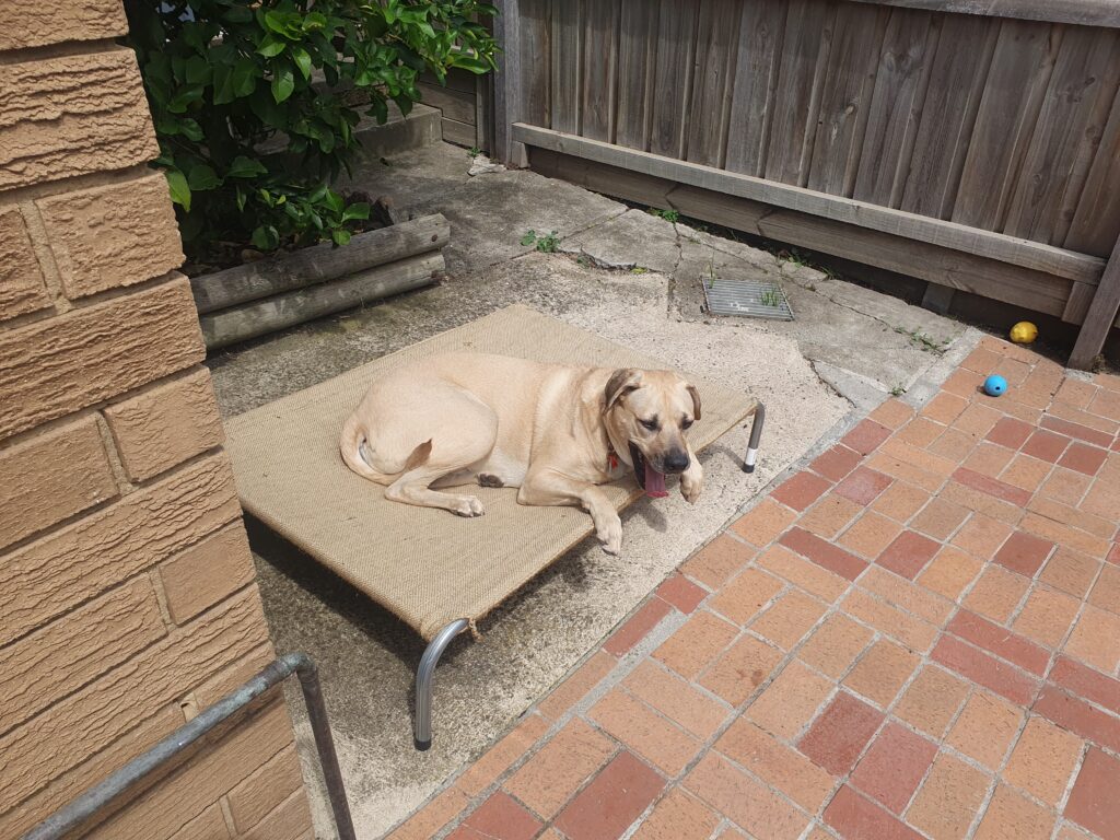 Image #1 from Janie C.