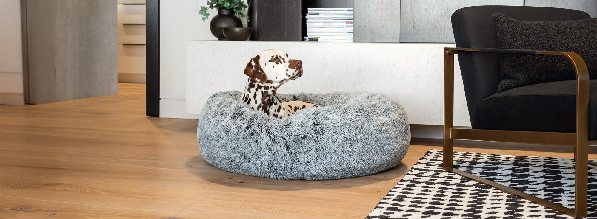 Memory foam dog bed in calming dove grey