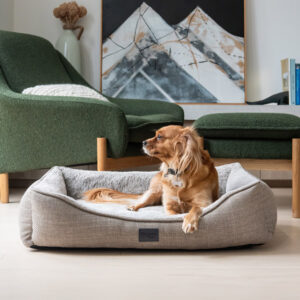 Orthopaedic Dog Bed with Cavoodle