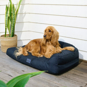 Cocker Spaniel on Superior Snugside Ripstop Crate Bed