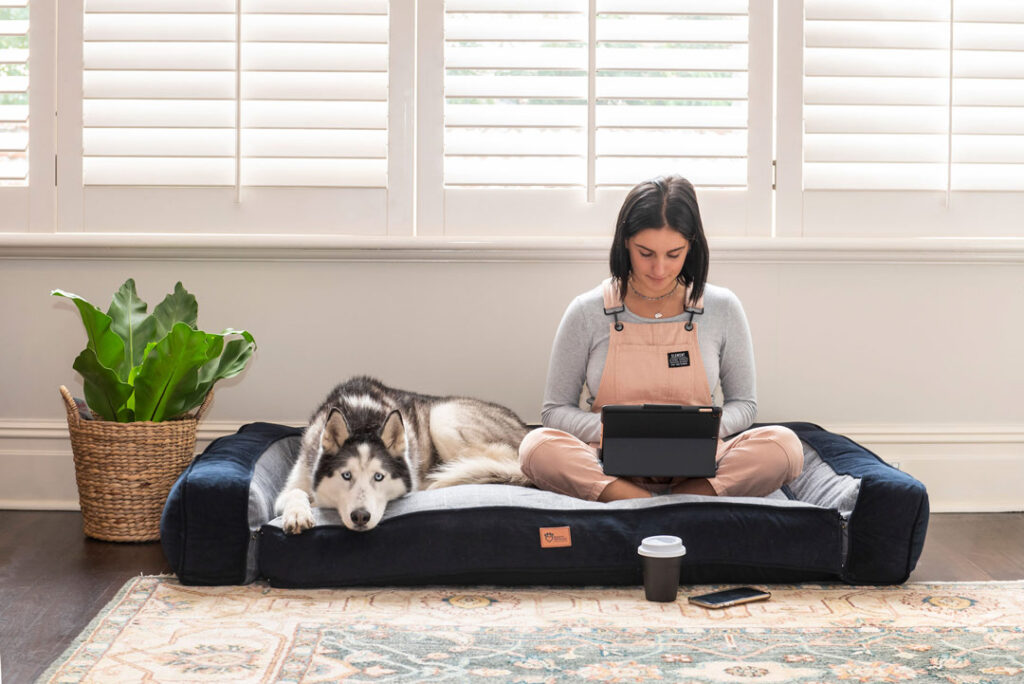 Siberian Husky with owner sitting on Superior Pet Goods pet bed