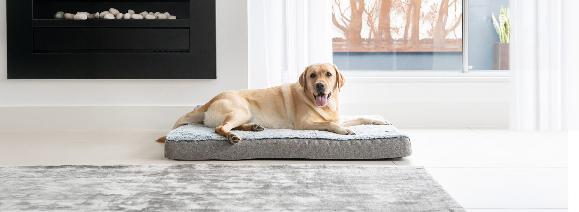 Golden Labrador laying on Superior Pet Goods Ortho Dog Mat