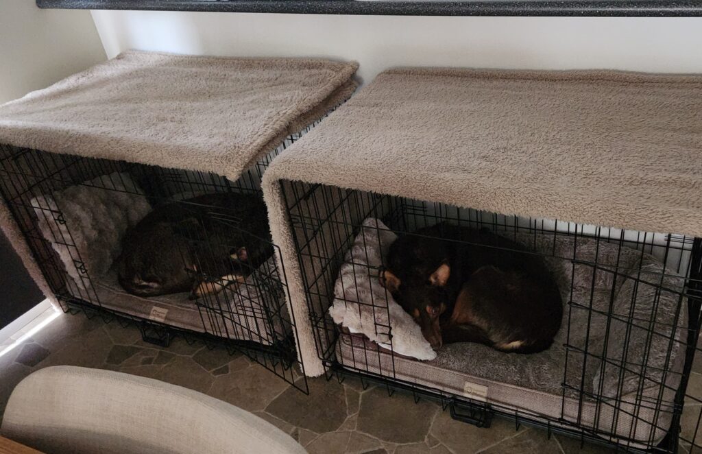 Image #2 from Kate Y.