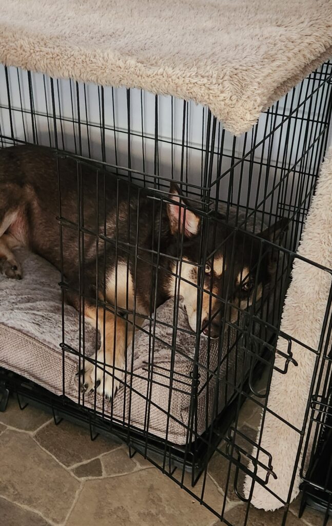 Image #3 from Kate Y.