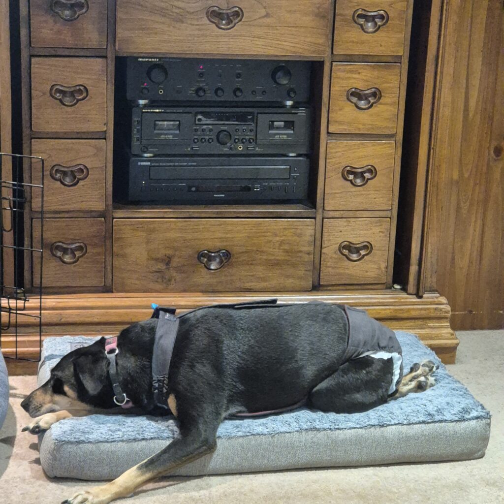 Image #1 from Annie Whitlocke