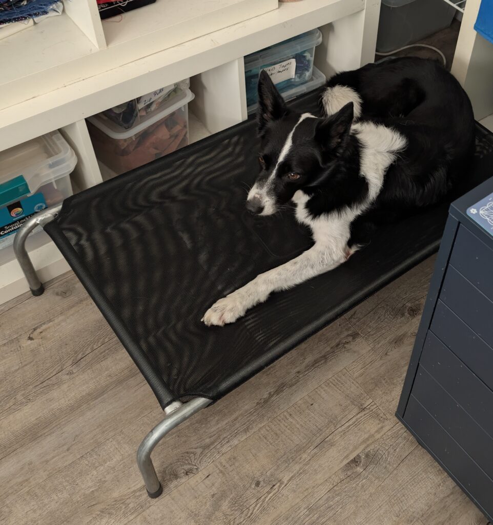 Image #1 from Michael