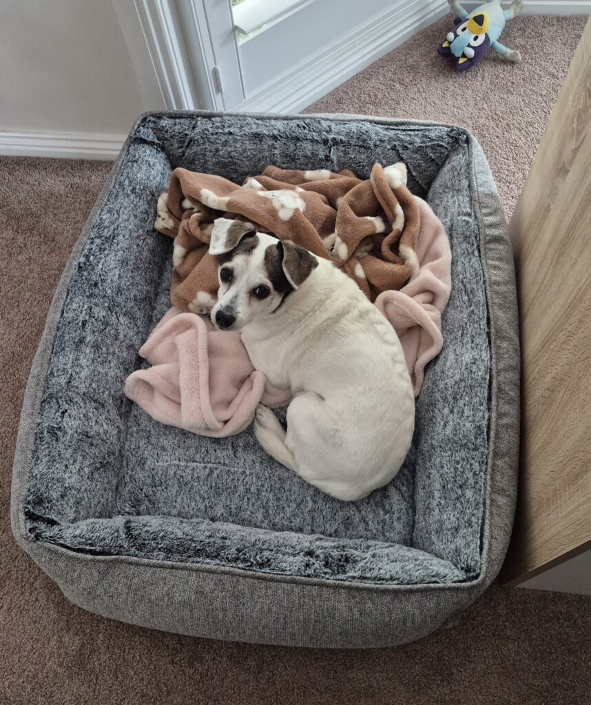 Image #1 from Debby W.