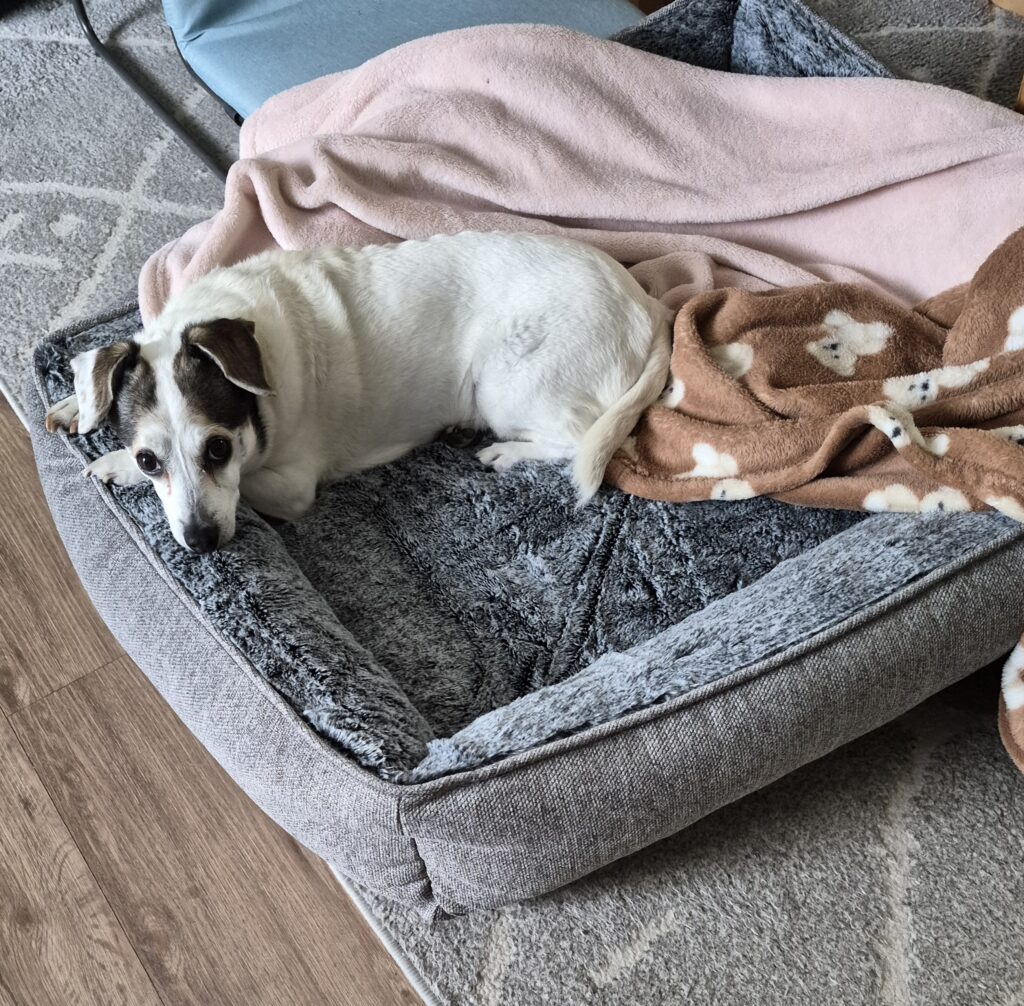 Image #2 from Debby W.