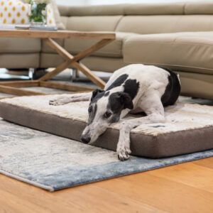 Greyhound dog laying on a Superior Pet Goods Ortho Mat in light brindle colourway